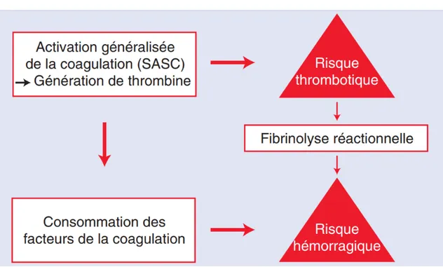 Figure 9 : Coagulation intravasculaire disséminée approche physiopathologique[27] 