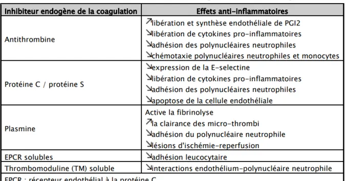 Tableau VI : Effets anti-inflammatoires des anticoagulants naturels endogènes [38]