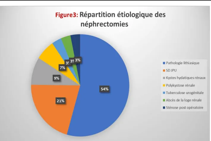 Figure 3 :  Répartition étiologie des néphrectomies    