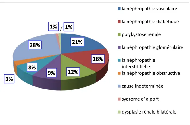 Figure 7 : répartition de la population étudiée selon la néphropathie initiale.  2.  L’âge du début d’hémodialyse : 