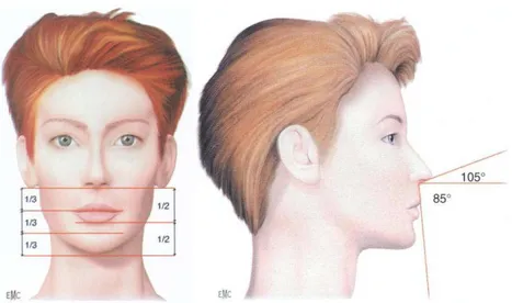 Figure 1. Examen maxillo facial exo buccal. [1] 