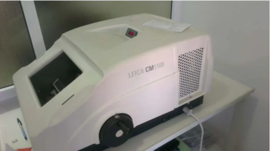 Figure 8 : microtome cryostat «  LEICA CM 1100 » 