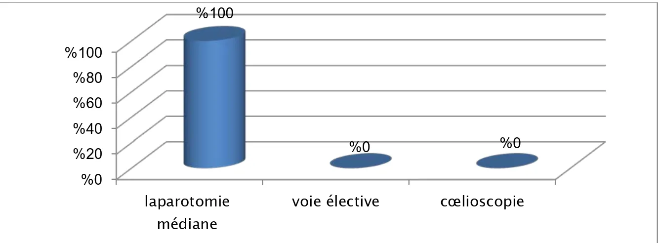 Figure 16: Les voies d'abord réalisées  2.3.  Exploration de la cavité abdominale : 