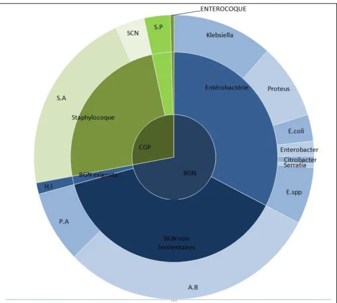 Figure 9: Répartition des germes 
