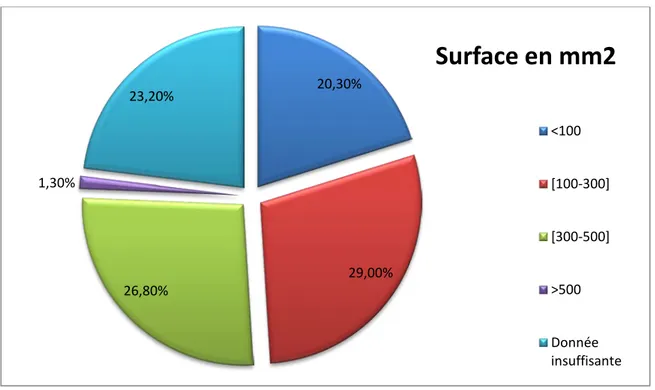 Figure 25: Répartition des calculs selon la surface 20,30% 29,00% 26,80% 1,30% 23,20%  Surface en mm2 &lt;100 [100-300] [300-500] &gt;500 Donnée  insuffisante 