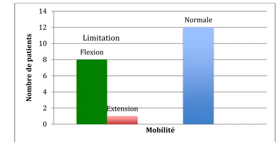 Graphique 7: Répartition des patients selon la mobilité 
