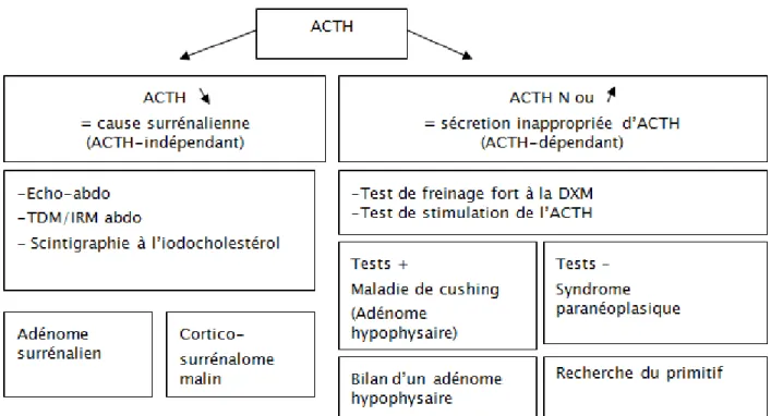 Figure 6: Arbre décisionnel pour le diagnostic étiologique de l'hypercorticisme [77]  Les « pseudo- Cushing » par hypercorticisme fonctionnel