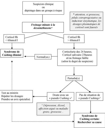 Figure 7: Arbre décisionnel pour le diagnostic positif du syndrome de Cushing [79] 