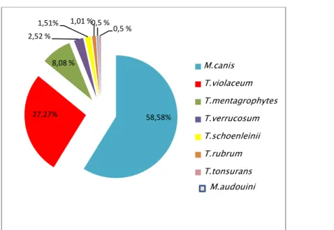 Figure 17 : Répartition des espèces des dermatophytes isolées durant notre étude 58,58%27,27%8,08 %2,52 %1,51%1,01 %0,5 %0,5 %M.canisT.violaceumT.mentagrophytesT.verrucosumT.schoenleiniiT.rubrumT.tonsuransM.audouini
