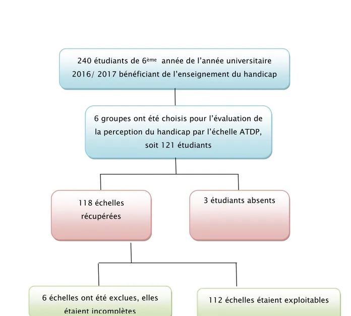 Figure 4 : Répartition des participants à l’étude 240 étudiants de 6ème   année de l’année universitaire 