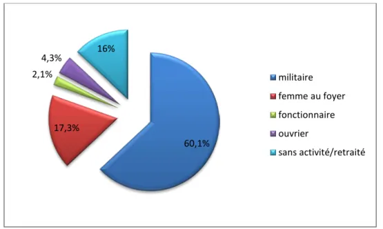 Figure 4: Répartition des cas de pneumopathies  aiguës  communautaires  selon  l’activité professionnelle