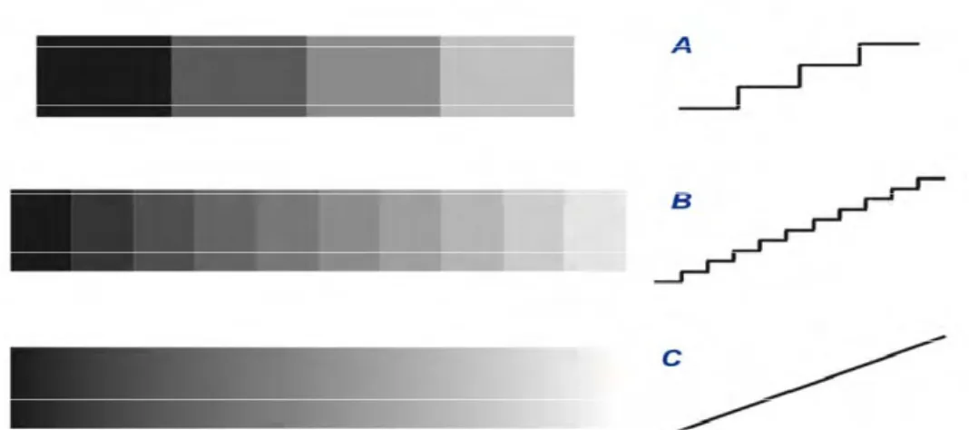 Figure 4 : Échelle de gris en fonction du nombre de niveaux. Fig.5.A. faible résolution différence  avec échelle marquée