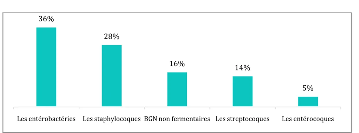 Figure 14 : Répartition des germes isolés selon la famille 