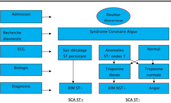 Figure 1 : schéma de la nouvelle définition du SCA [3]. 
