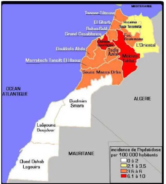 Figure N°2 : Répartition géographique du kyste hydatique au Maroc selon les données  épidémiologiques 2006(20) 