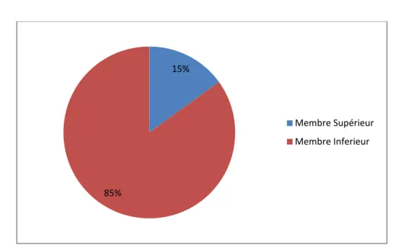 Figure :3  Répartition selon le membre atteint 