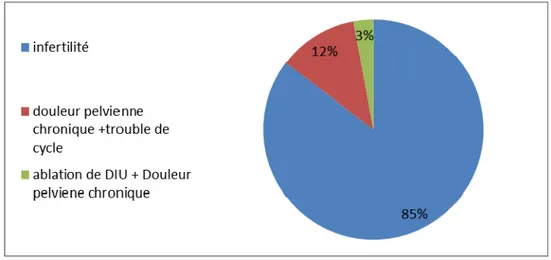 Figure 15: répartition du motif de consultation dans le groupe d’hysterocoelioscopie  