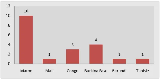 Figure 13: Répartition des participants selon le pays 