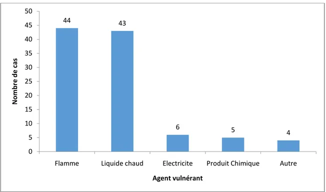 Figure 8 : Répartition des brûlures retrouvées dans le service en fonction   des agents vulnérants pendant la période 2016-2018