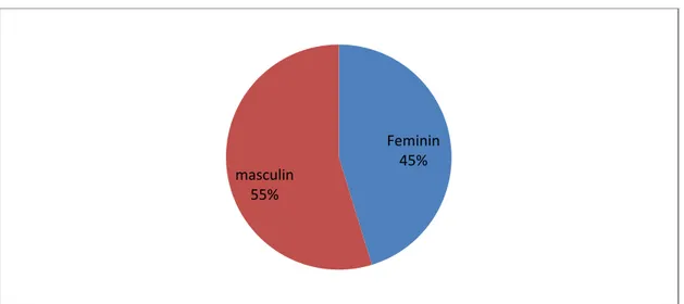 Figure I : Répartition des patients en fonction du sexe  Feminin