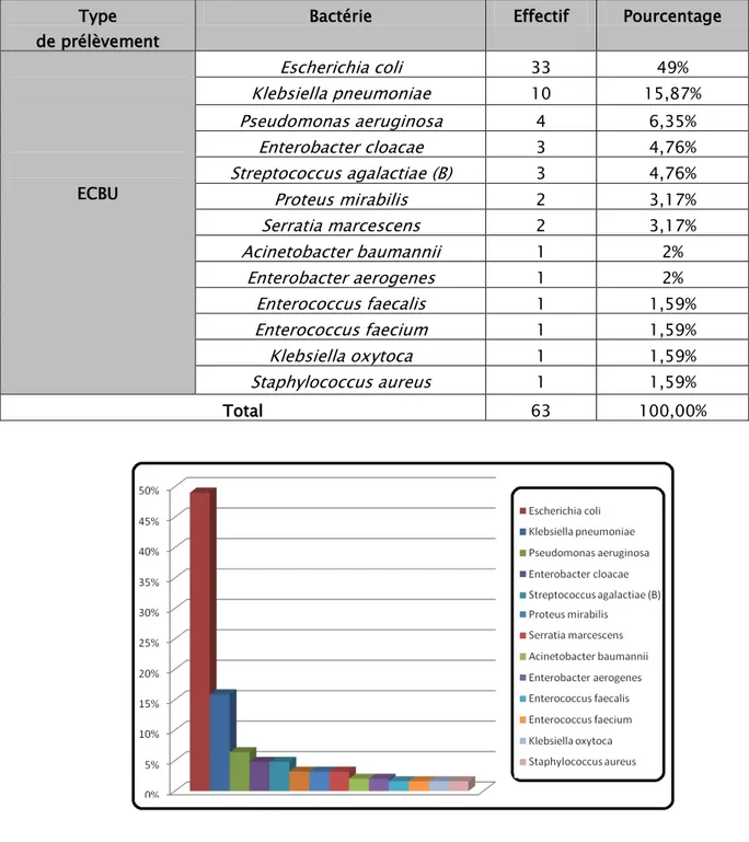Tableau IV: Répartition des espèces bactériennes identifiées dans les ECBU  Type 
