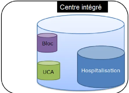 Figure 2 : modèle de centre intégré (Abécédaires de chirurgie ambulatoire 2009) 