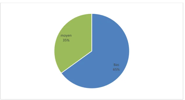 Figure 5 : répartition des patients selon le niveau socio-économique  6.  Répartition des patients selon le délai de consultation : 