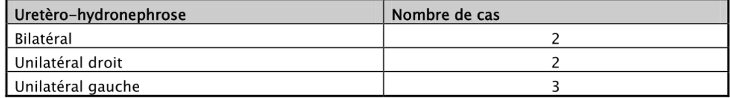 Tableau IV : Retentissement sur le haut appareil. 