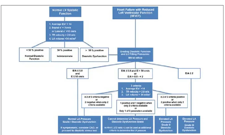 Figure 9 : Recommandations de l’ASE/EACVI pour l’évaluation de la fonction diastolique du  VG[8] 