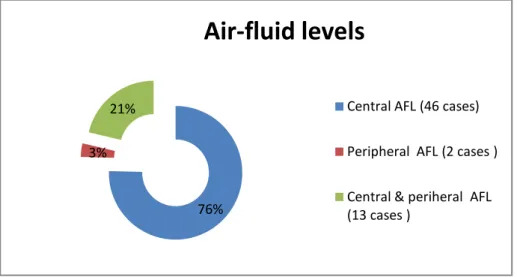 Figure 06: Distribution of the Air-fluid levels types found in our studied group  