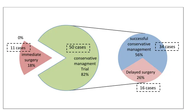 Figure 10: distribution of the types of management in our studied group 