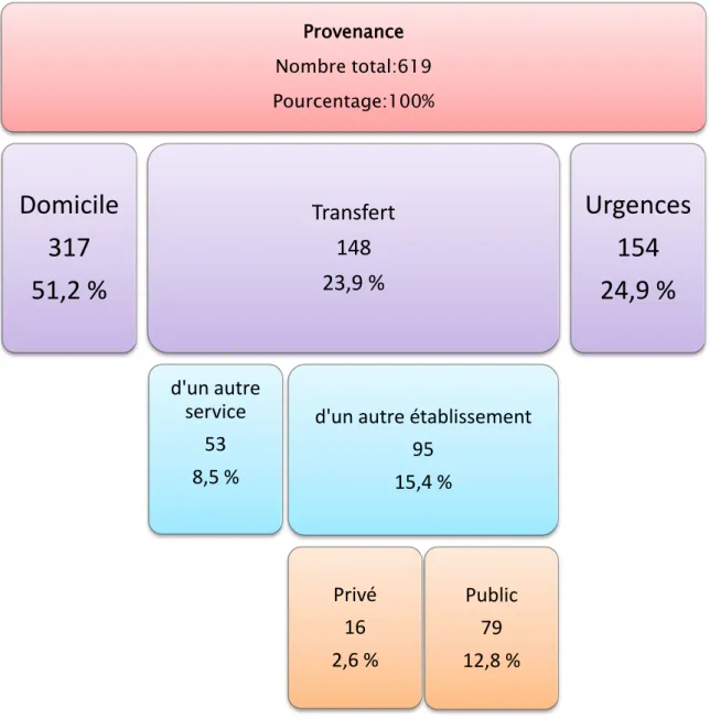 Figure 7: Répartition des patients selon la provenance.ProvenanceNombre total:619Pourcentage:100%Domicile31751,2 %Transfert14823,9 %d'un autre service538,5 %