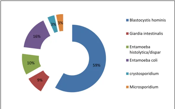 Figure 8: répartition selon le type de parasite intestinal. 59%9%10%16%3% 3% Blastocystis hominis Giardia intestinalisEntamoeba histolytica/disparEntamoeba coli crystosporidium Microsporidium