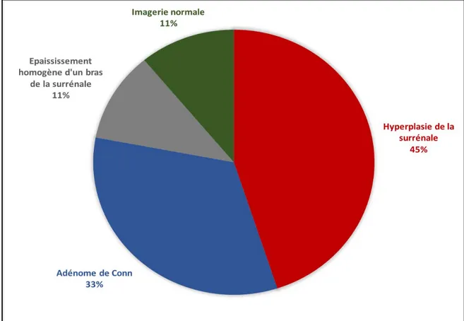 Figure 13 : Répartition des patients selon les résultats de l’imagerie 