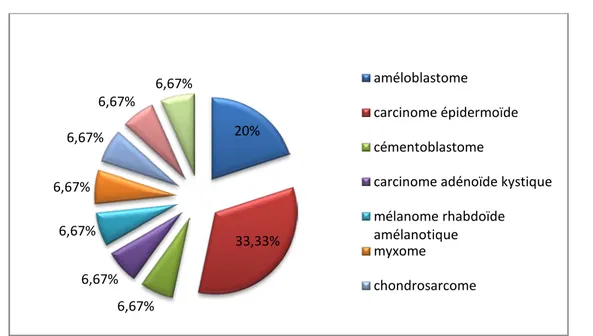 Figure 12: Répartition des tumeurs selon le pourcentage de chaque type histologique   des cas dans notre série