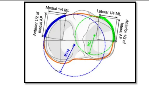 Figure 6 : Les rayons de courbure RCM et RCL, comme adopté de la part de Dai et al.[1,28]  d