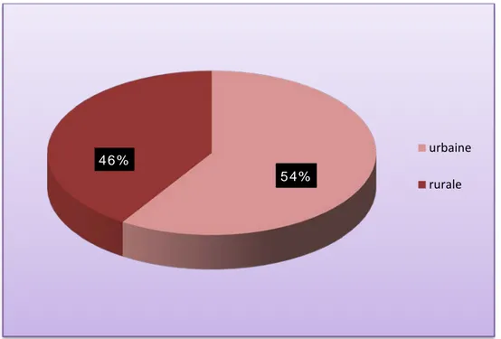 Figure 4 : Répartition des malades selon leur origine géographique 