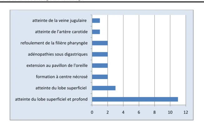 Figure 14 : Résultats de l’IRM cervico-faciale. 