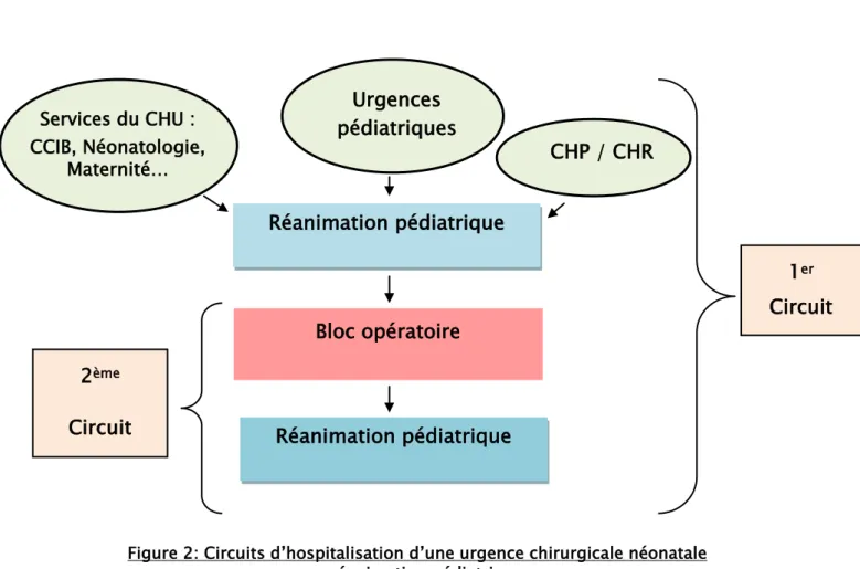 Figure 2: Circuits d’hospitalisation d’une urgence chirurgicale néonatale   en réanimation pédiatrique