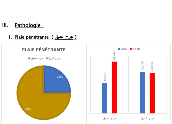 Figure 20 : Le degré de compréhension de la  terminologie attribuée par les médecins  Figure 19 Les différentes nominations de la 