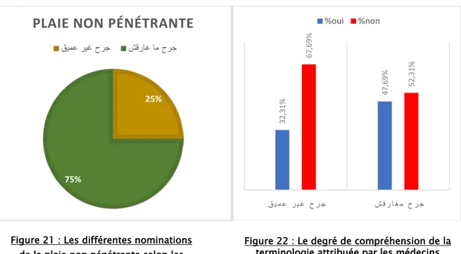 Figure 22 : Le degré de compréhension de la  terminologie attribuée par les médecins  Figure 21 : Les différentes nominations 