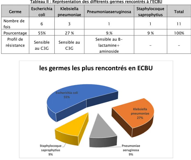 Tableau II : Représentation des différents germes rencontrés à l’ECBU 