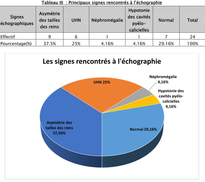 Tableau III  : Principaux signes rencontrés à l’échographie  Signes  échographiques  Asymétrie  des tailles  des reins  UHN  Néphromégalie  Hypotonie  des cavités  pyélo-calicielles  Normal  Total  Effectif  9  6  1  1  7  24  Pourcentage(%)  37.5%  25%  4.16%  4.16%  29.16%  100% 