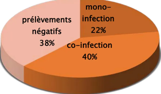 Figure 17: Prévalence des mono et co-infections dans la population cible 