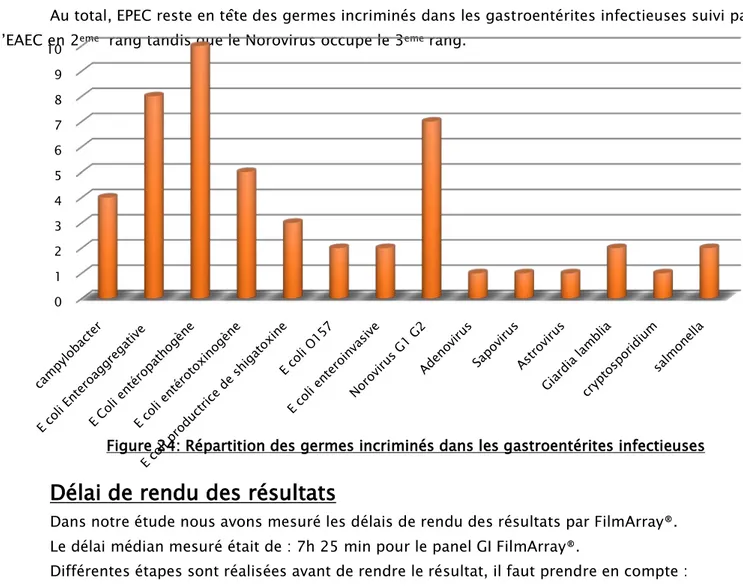 Figure 24: Répartition des germes incriminés dans les gastroentérites infectieuses  rang