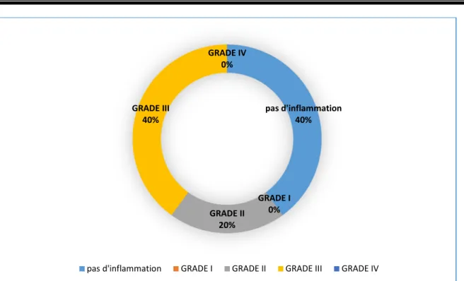 Figure 9: Les grades de la sialadénite selon le nombre de cas 