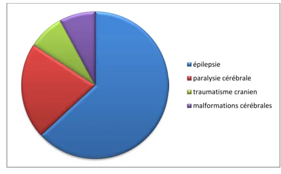 Figure 5 : Répartition selon les antécédents médicaux. épilepsie