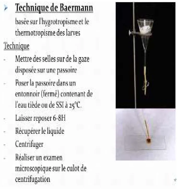 Figure 3 : Technique d’extraction de Baermann 