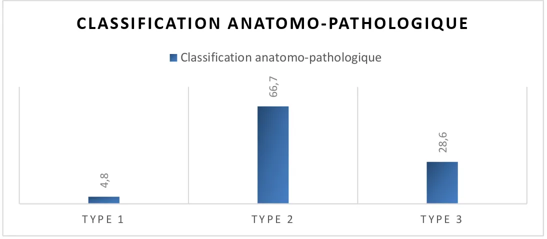 Figure 5 : Classification anatomo-pathologique de la GNEC dans notre série 