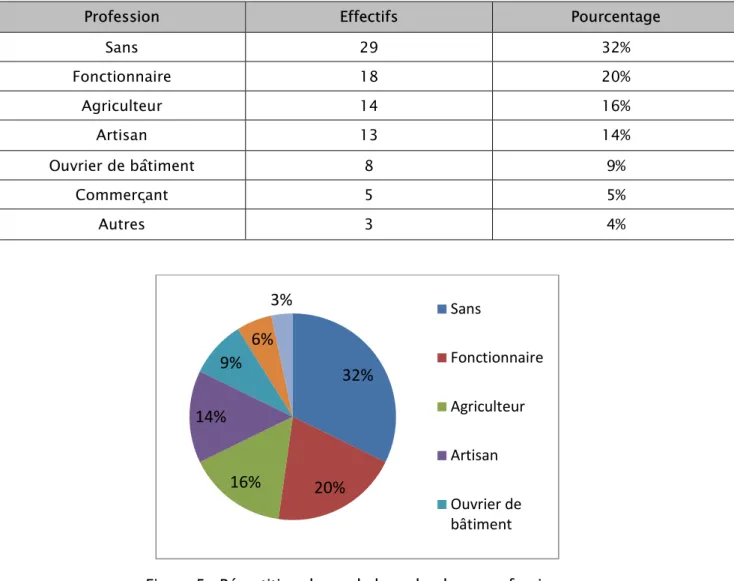 Figure 5 : Répartition des malades selon leurs professions  6.  Origine géographique des patients : 